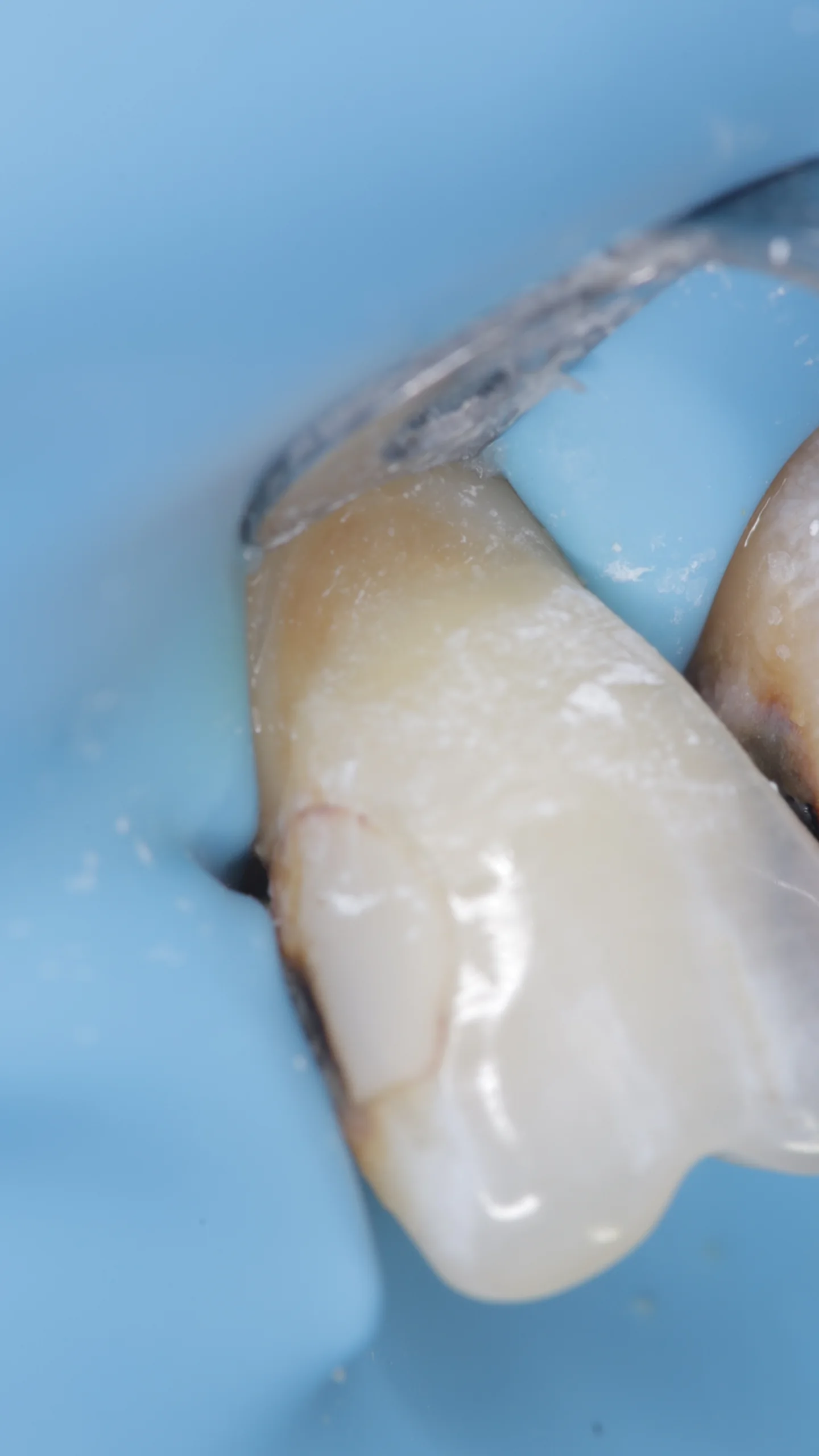 Бесплатная консультация